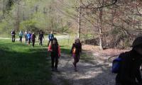 6apr2025-CISON-39