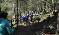 6apr2025-CISON-49