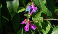 6apr2025-CISON-56