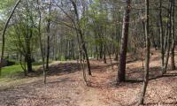 6apr2025-CISON-59