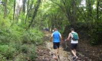 9giu2014-CALSTELCUCCO-18