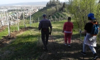 30mar19-SACRO-PROSECCO-11