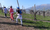 30mar19-SACRO-PROSECCO-5