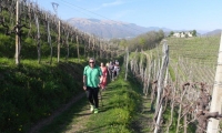 30mar19-SACRO-PROSECCO-6