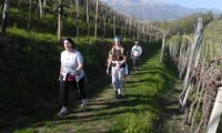 30mar19-SACRO-PROSECCO-7